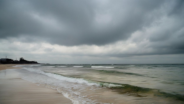 Влияние человека